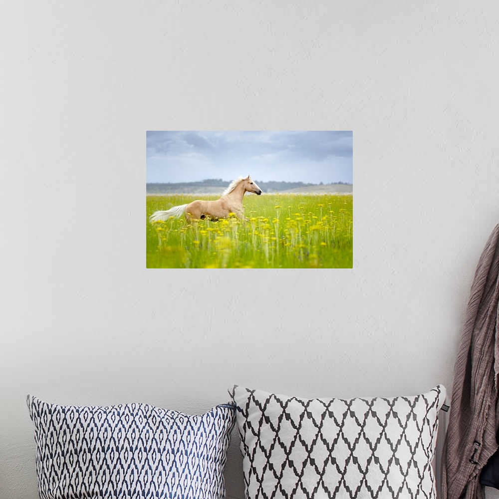 A bohemian room featuring Horizontal photograph on a big wall hanging of a tan horse trotting through a golden field of tal...