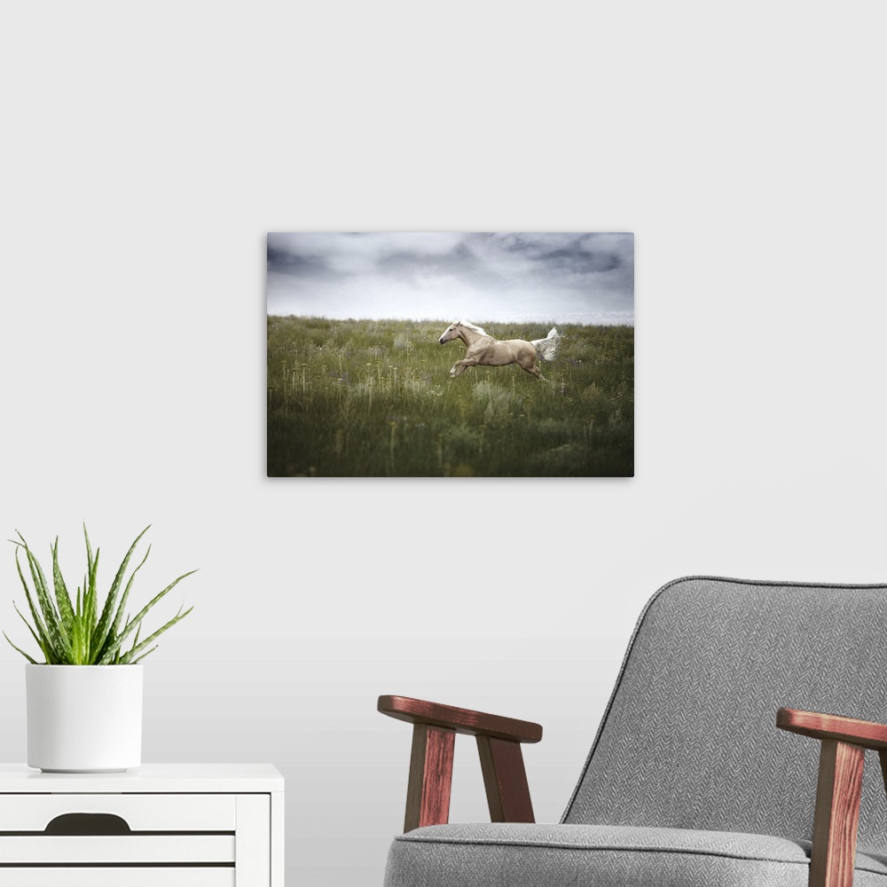 A modern room featuring Horse running in field with cloudy weather.