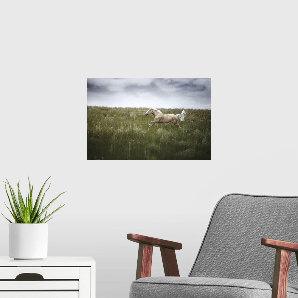 A modern room featuring Horse running in field with cloudy weather.