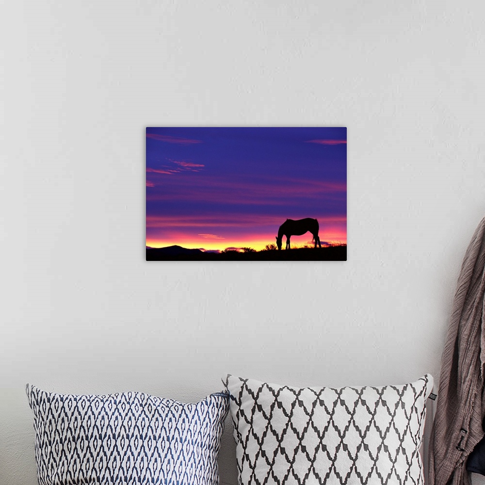 A bohemian room featuring Horse Silhouette At Sunset