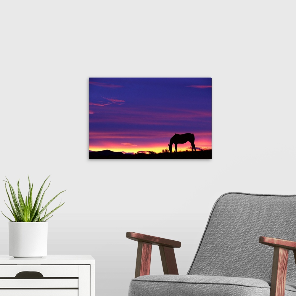 A modern room featuring Horse Silhouette At Sunset
