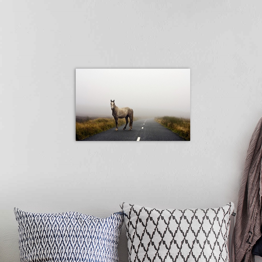 A bohemian room featuring Oversized landscape photograph of a horse standing in one lane of a two lane road, grassy fields ...