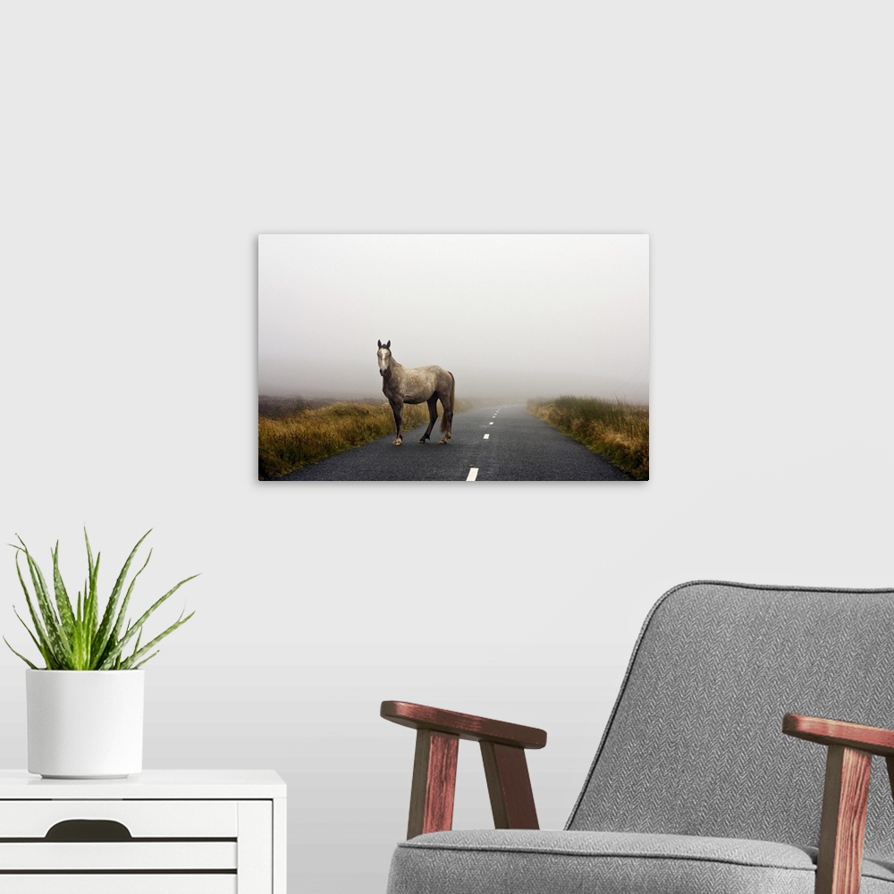 A modern room featuring Oversized landscape photograph of a horse standing in one lane of a two lane road, grassy fields ...