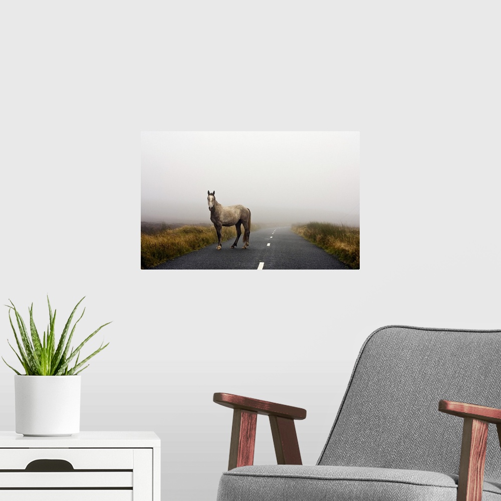 A modern room featuring Oversized landscape photograph of a horse standing in one lane of a two lane road, grassy fields ...