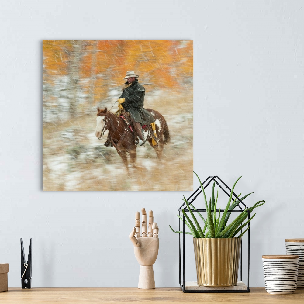 A bohemian room featuring Horseback Rider In Rain