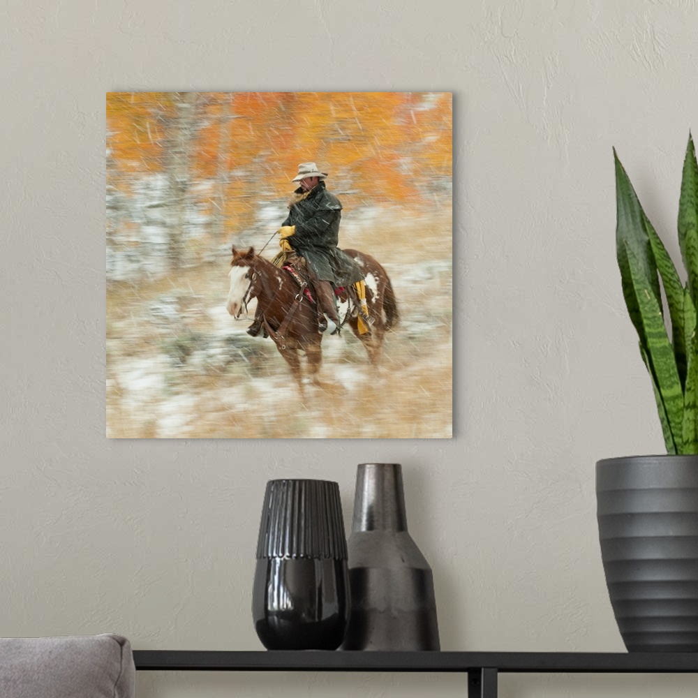 A modern room featuring Horseback Rider In Rain