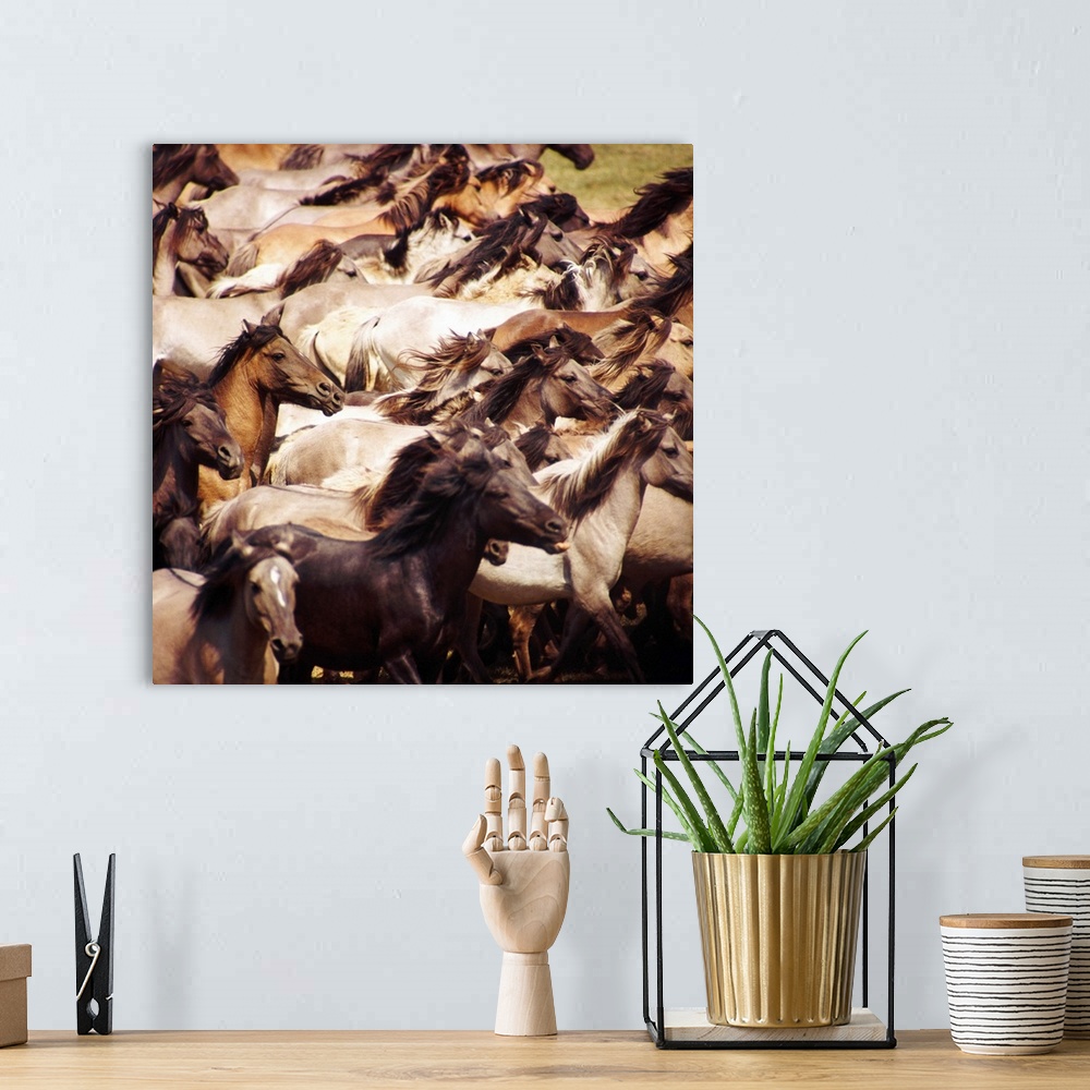 A bohemian room featuring Square photo on canvas of a up close view of a herd of horses running in a field.