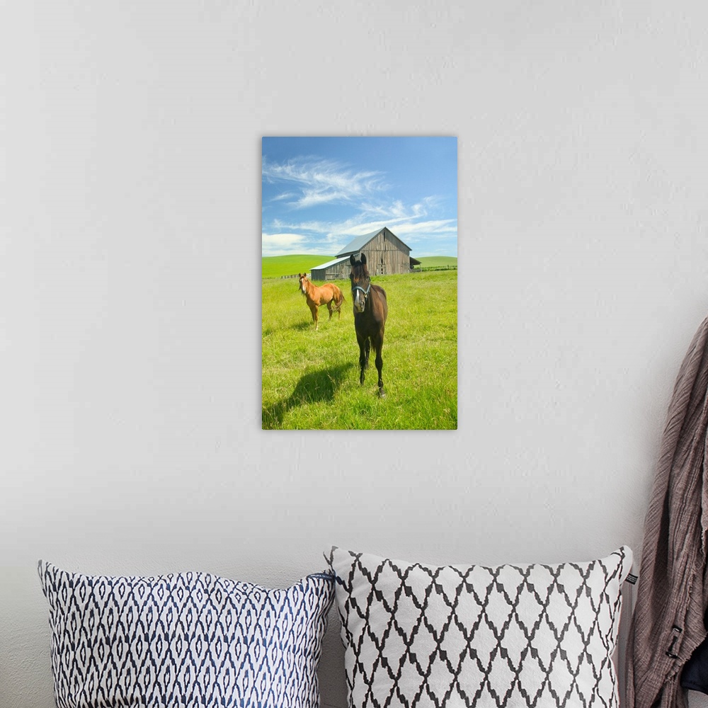 A bohemian room featuring Horses And Barn In Prairie