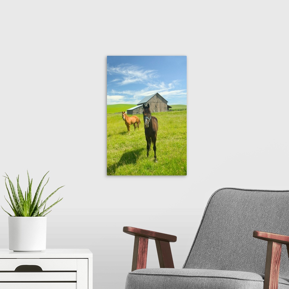 A modern room featuring Horses And Barn In Prairie