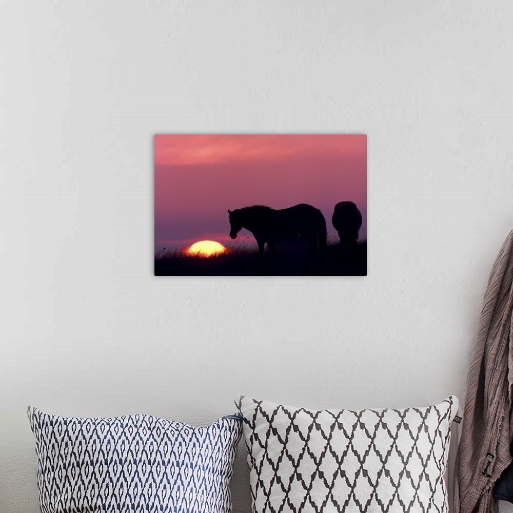 A bohemian room featuring horses at sunset
