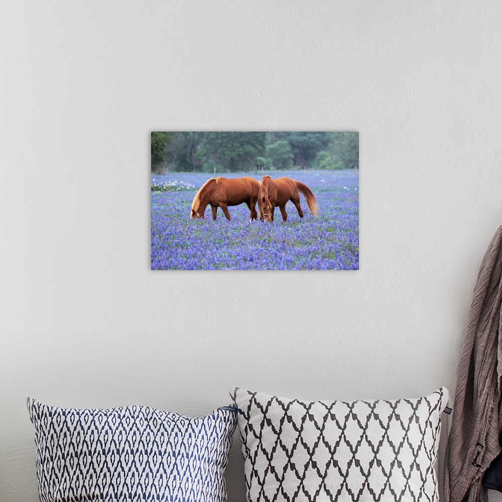 A bohemian room featuring Horses Grazing Among Bluebonnets
