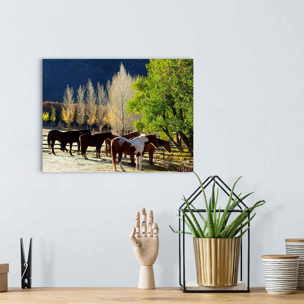 A bohemian room featuring Horses in pasture