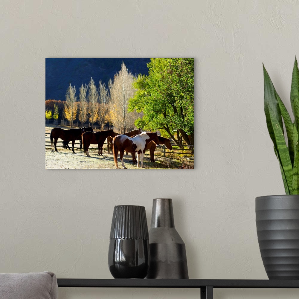 A modern room featuring Horses in pasture
