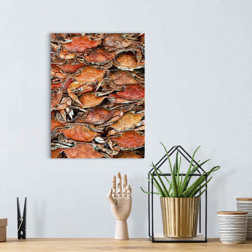 A bohemian room featuring Hot fresh Crabs ready to eat right out of cooker.