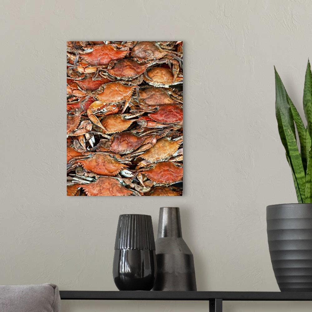 A modern room featuring Hot fresh Crabs ready to eat right out of cooker.