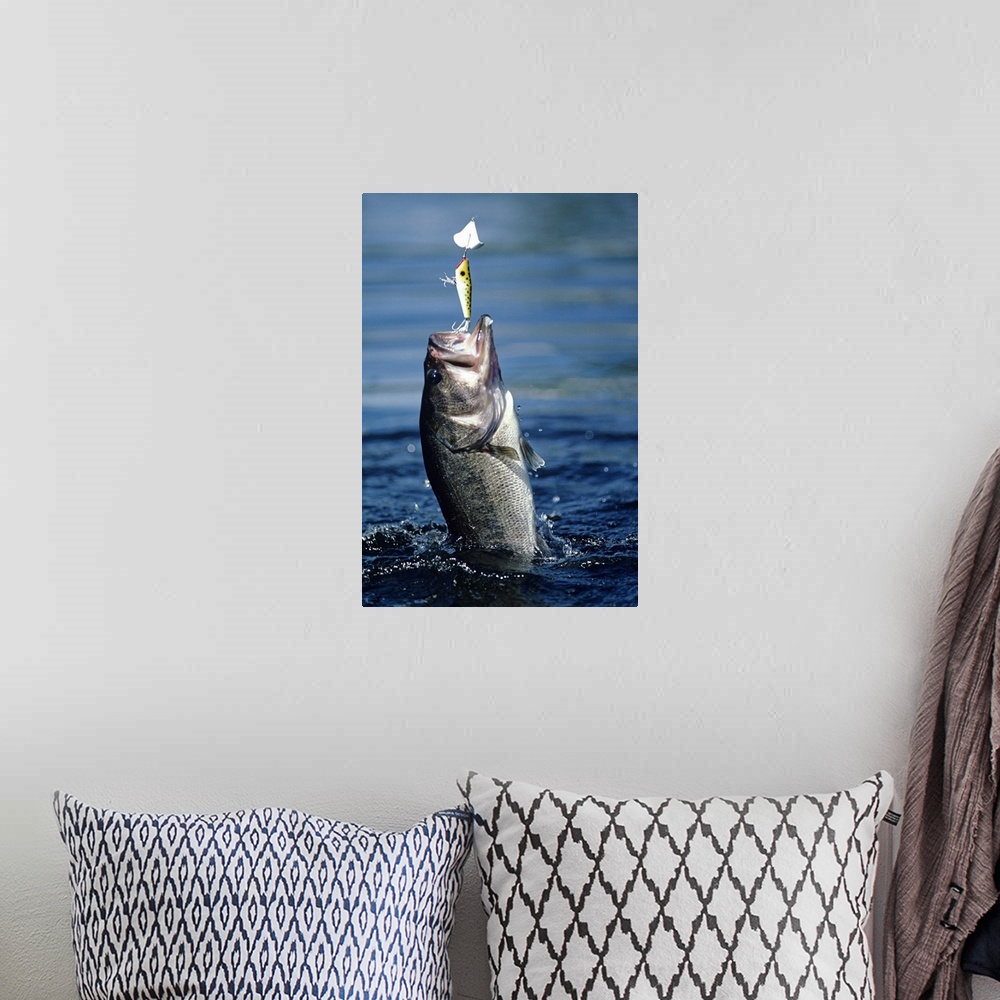 A bohemian room featuring A decorative accent for an angler or fishing enthusiast this vertical nature photograph is a clos...