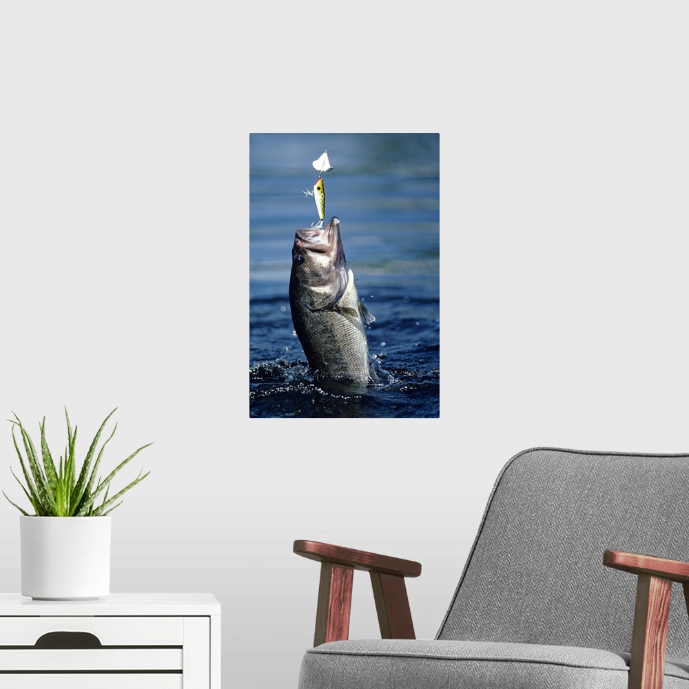 A modern room featuring A decorative accent for an angler or fishing enthusiast this vertical nature photograph is a clos...