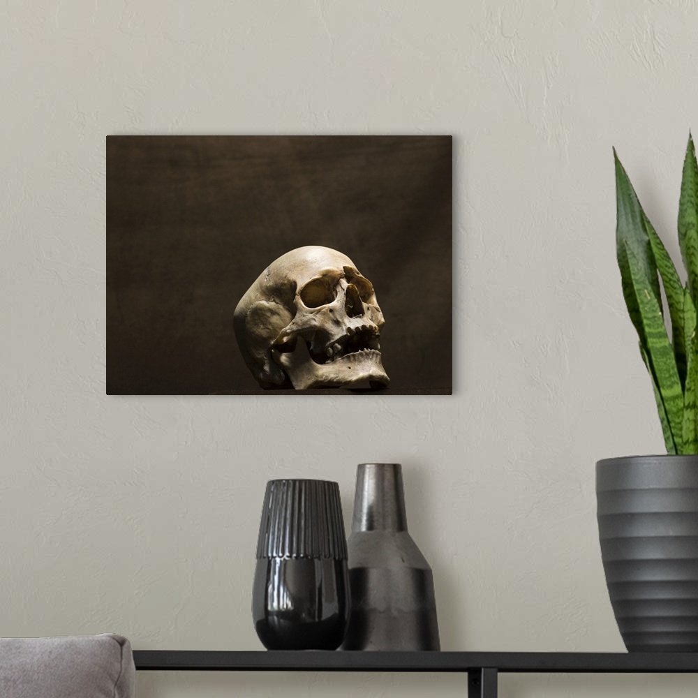 A modern room featuring Human skull, studio shot