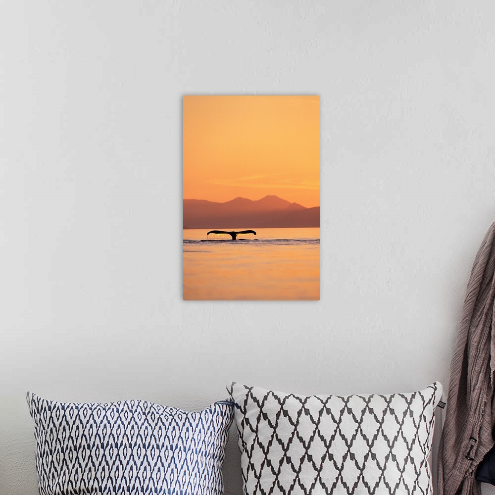 A bohemian room featuring A humpback whale surfaces at sunset along Frederick Sound near Admiralty Island, Alaska. | Locati...
