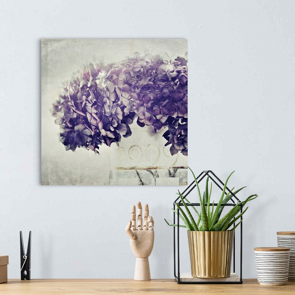 A bohemian room featuring Mixed media art of a photograph of a large bundle of Hydrangea flowers on a digitally created lig...