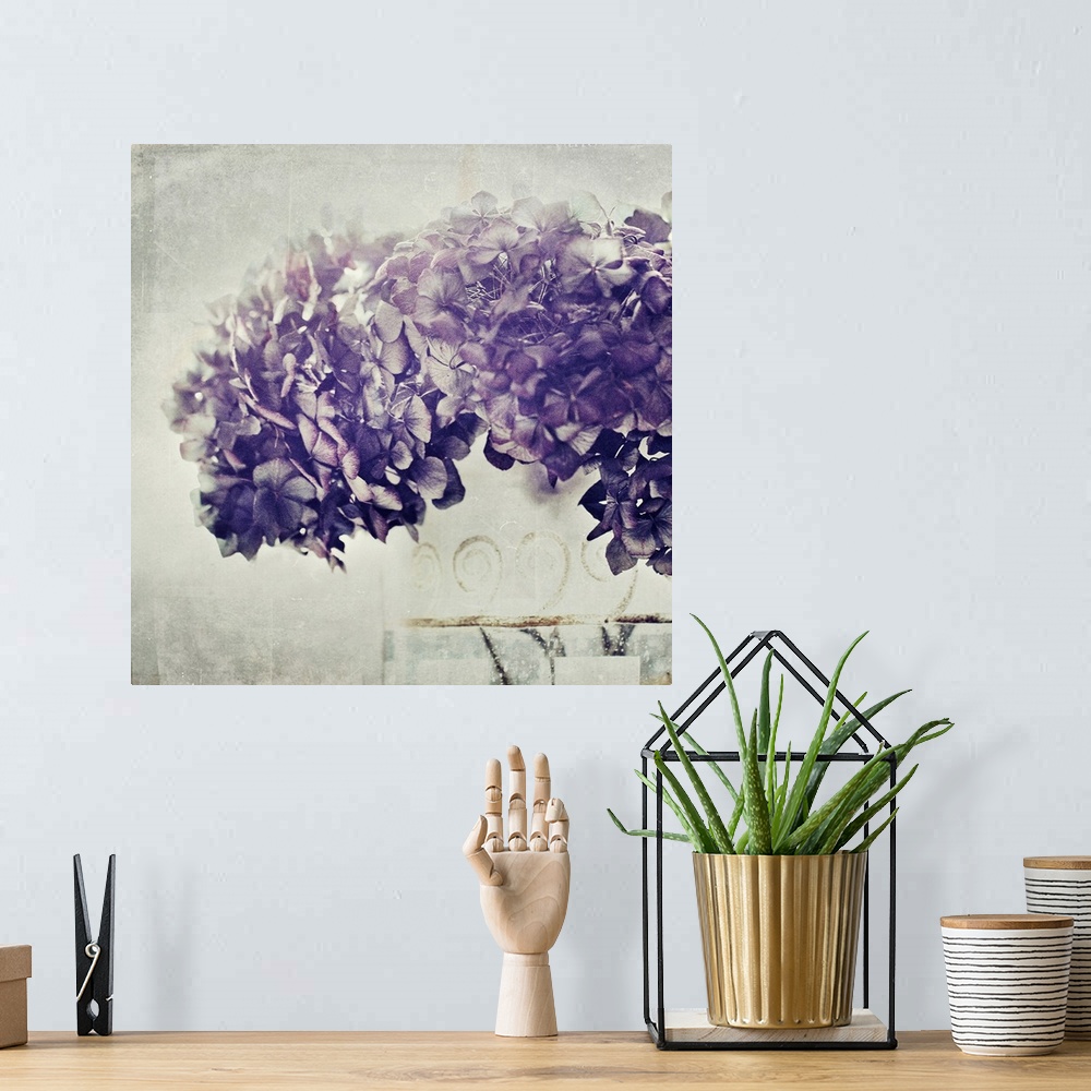 A bohemian room featuring Mixed media art of a photograph of a large bundle of Hydrangea flowers on a digitally created lig...