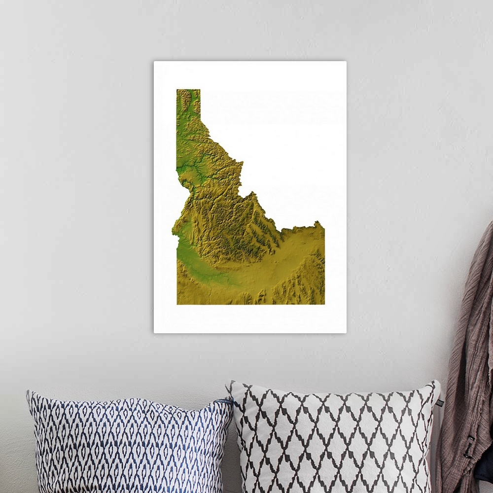 A bohemian room featuring Idaho topographic map