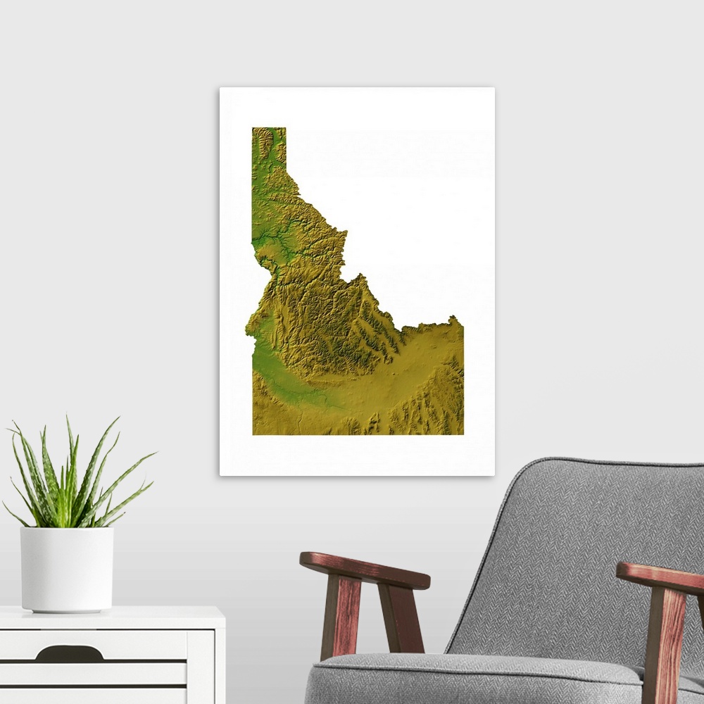 A modern room featuring Idaho topographic map