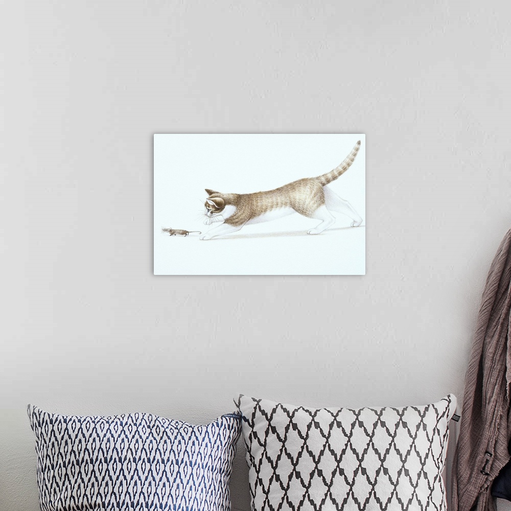 A bohemian room featuring Illustration of brown and white cat (Felis catus) chasing House Mouse (Mus musculus)