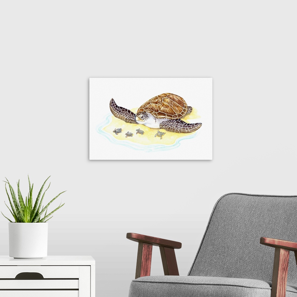 A modern room featuring Illustration of sea turtle with babies