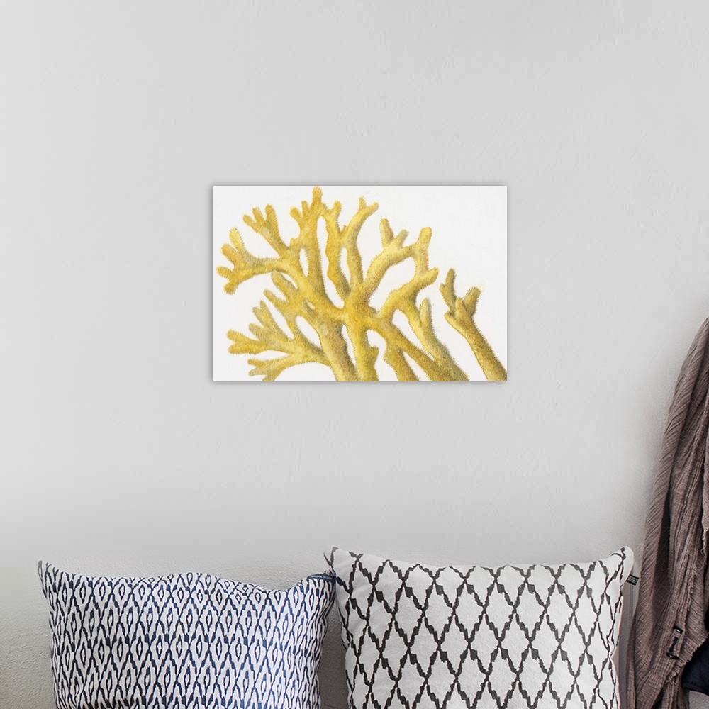 A bohemian room featuring Illustration of yellow coral