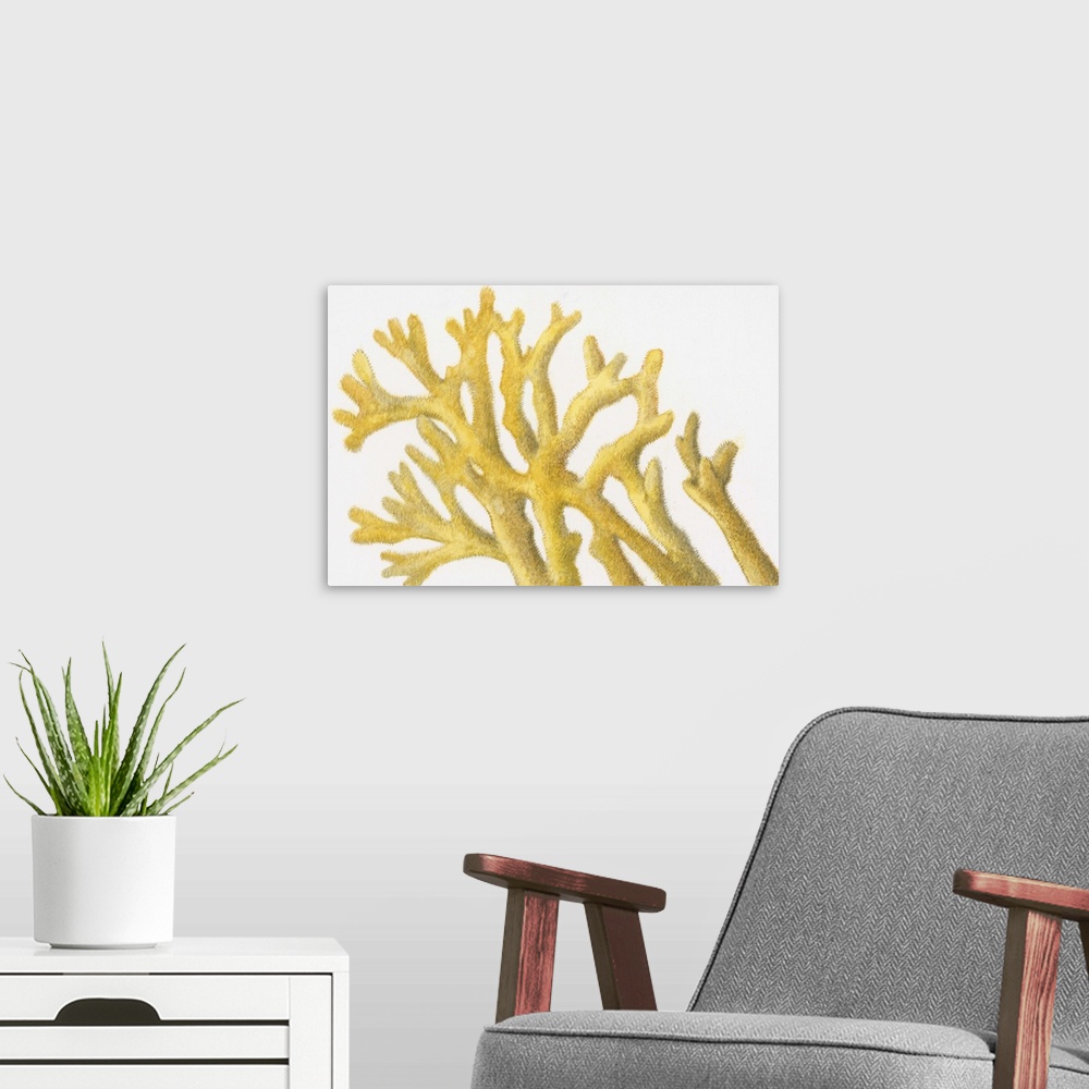 A modern room featuring Illustration of yellow coral