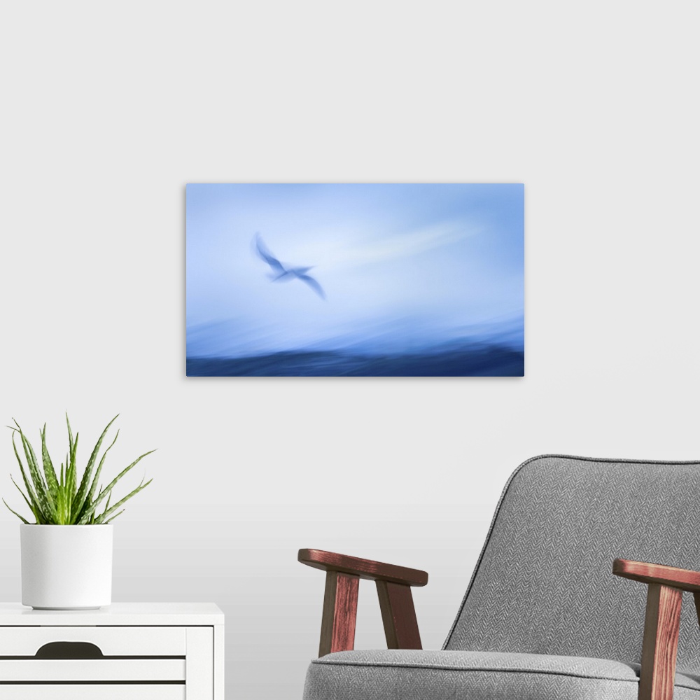 A modern room featuring Impressionism image of seagull flying above the sea waves. Image captured using intentional camer...