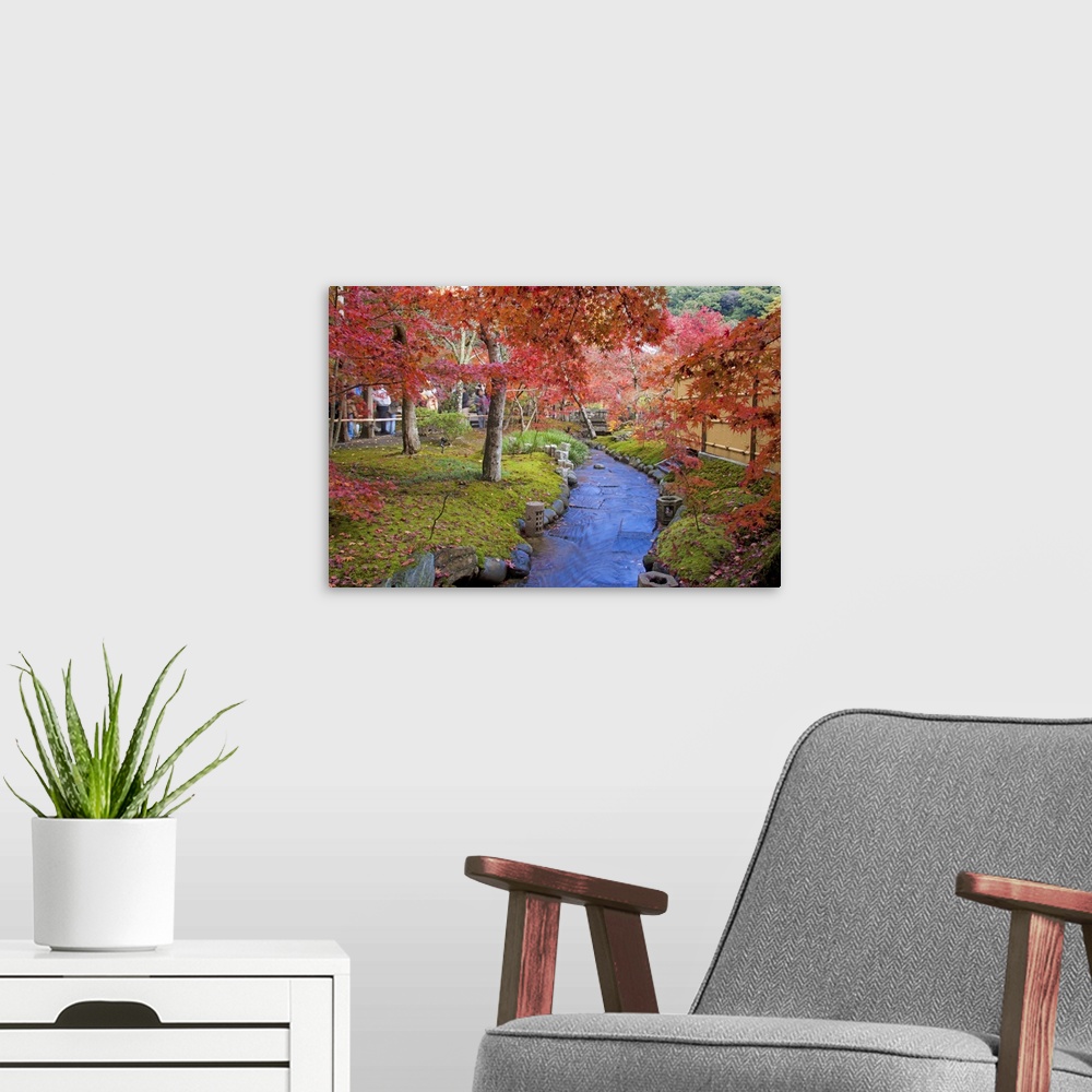 A modern room featuring Small water flow in Japanese garden in autumn at, Kyoto.
