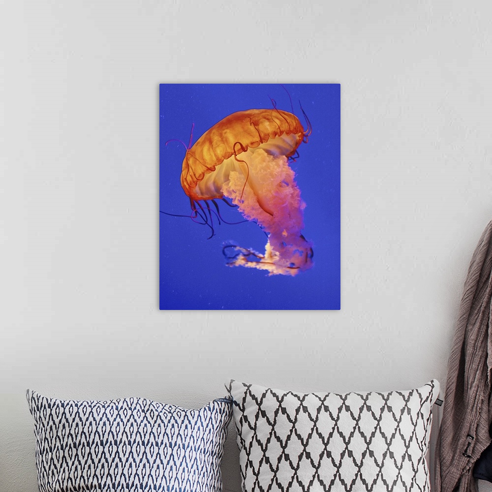 A bohemian room featuring Jelly fish.