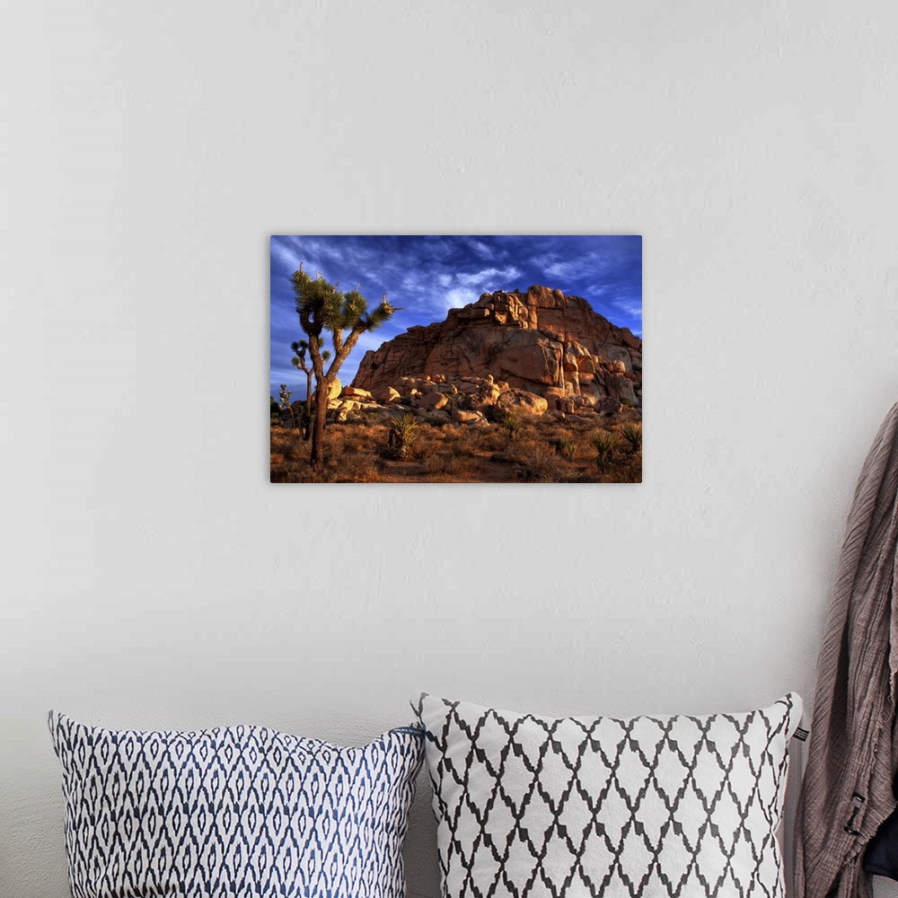 A bohemian room featuring Morning sunrise of a Joshua Tree and a large rock pile
