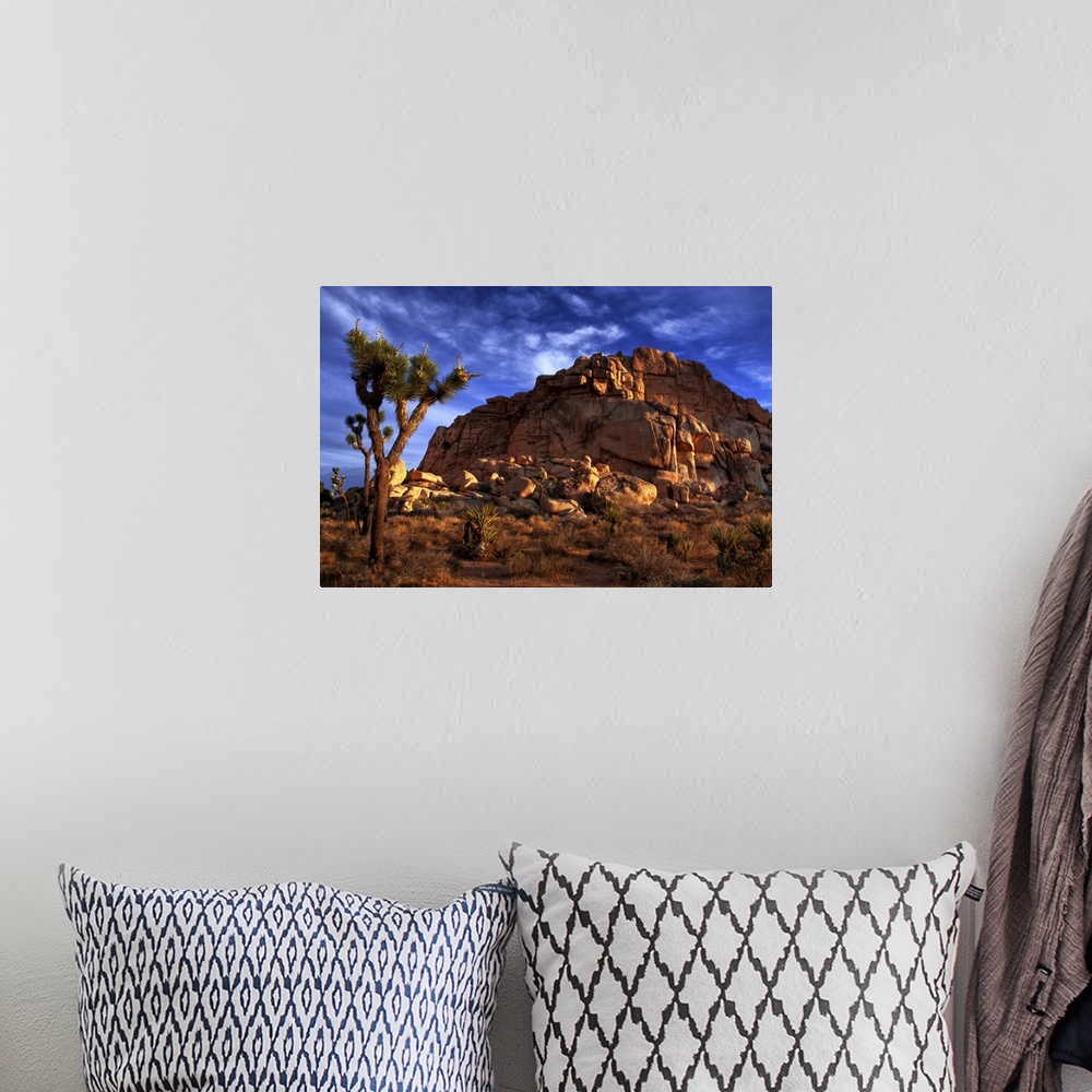 A bohemian room featuring Morning sunrise of a Joshua Tree and a large rock pile