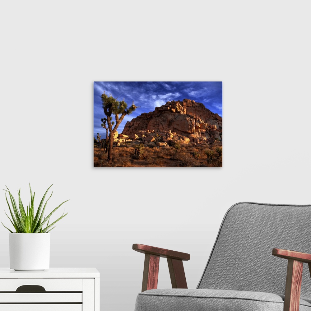 A modern room featuring Morning sunrise of a Joshua Tree and a large rock pile