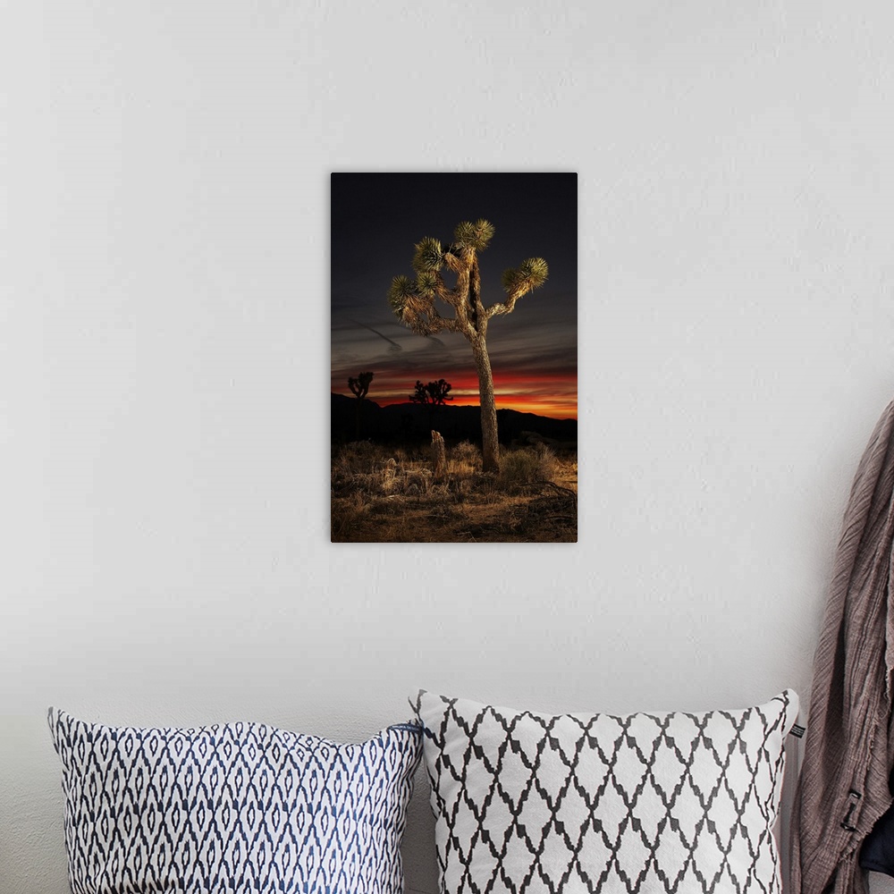 A bohemian room featuring Joshua Tree at Sunset