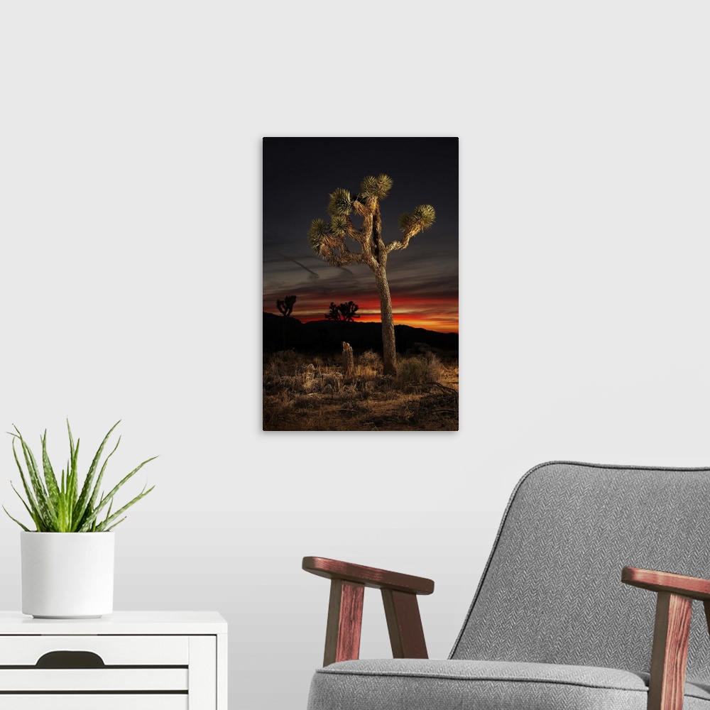 A modern room featuring Joshua Tree at Sunset