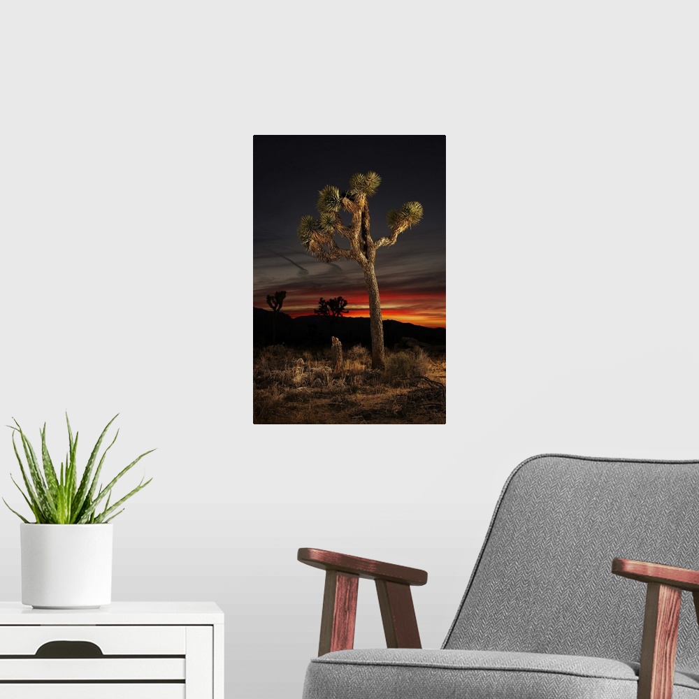 A modern room featuring Joshua Tree at Sunset