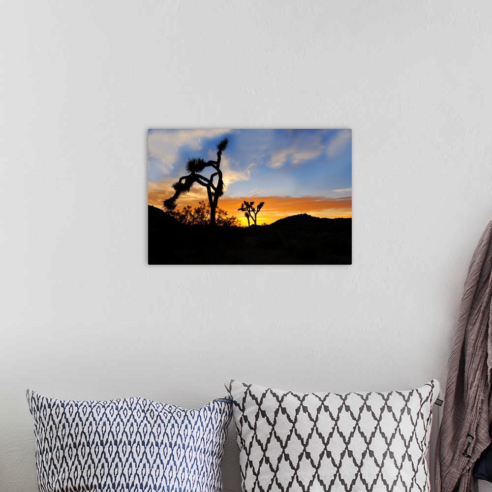 A bohemian room featuring Sunset silhouette of Joshua Tree National Park.