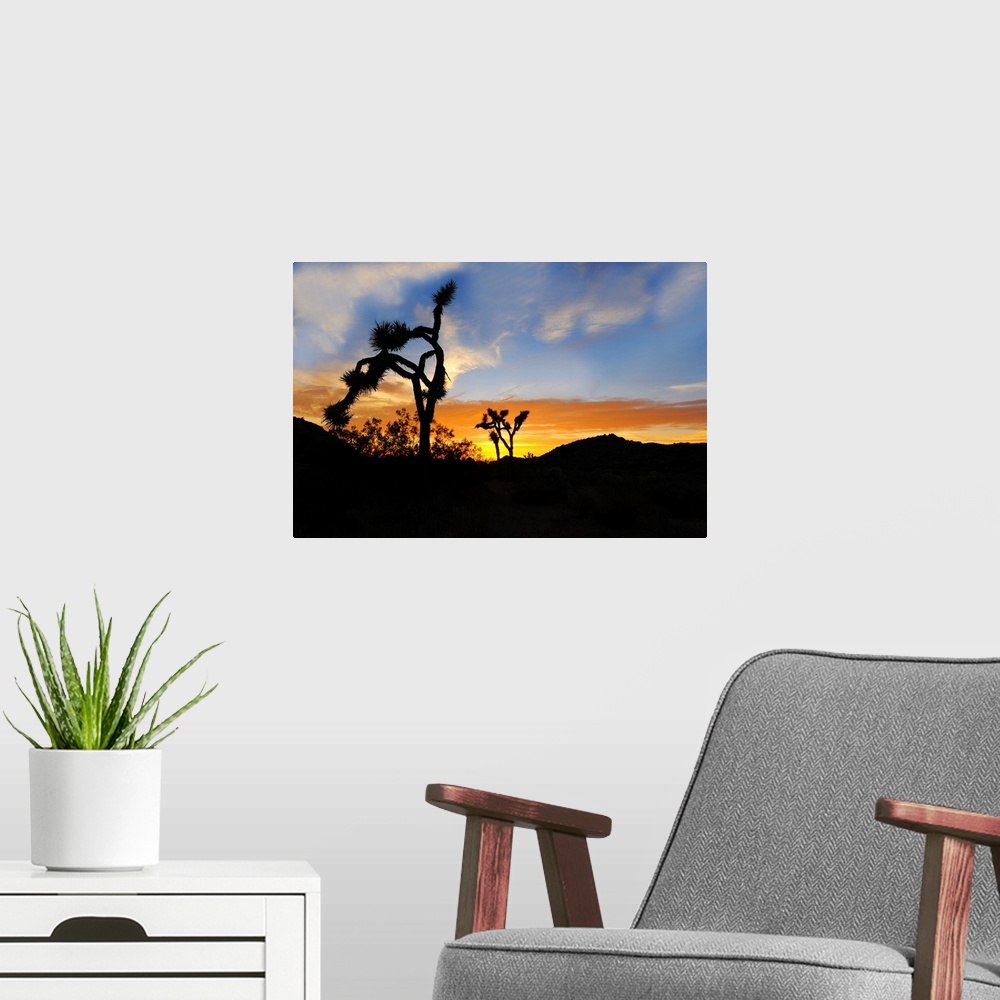 A modern room featuring Sunset silhouette of Joshua Tree National Park.