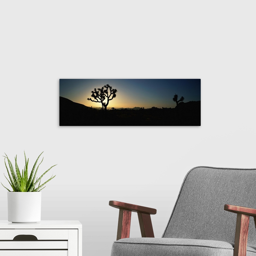 A modern room featuring Joshua Tree National Park at sunrise