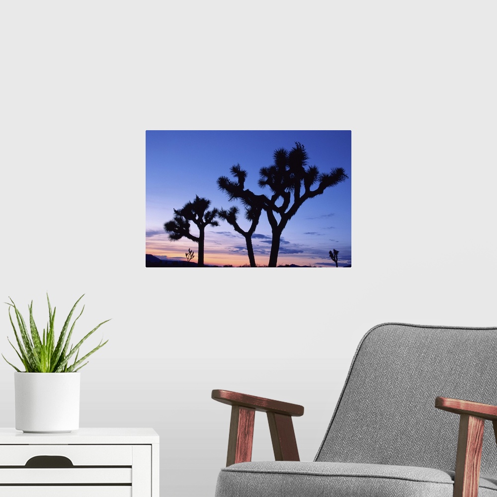 A modern room featuring Joshua Tree National Park at sunset , California