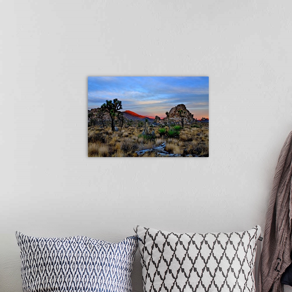 A bohemian room featuring A view to the west as the sun rises over the Mojave Desert with the alpenglow on the distant hill...