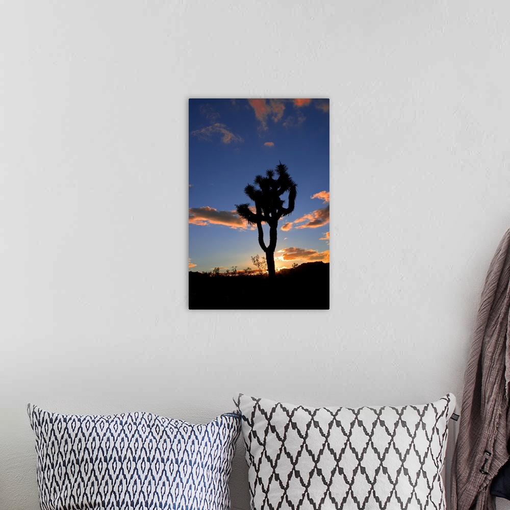 A bohemian room featuring Joshua Tree sunset with silhouetted tree.