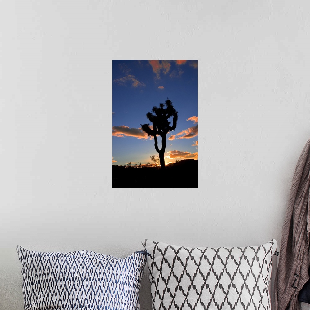 A bohemian room featuring Joshua Tree sunset with silhouetted tree.