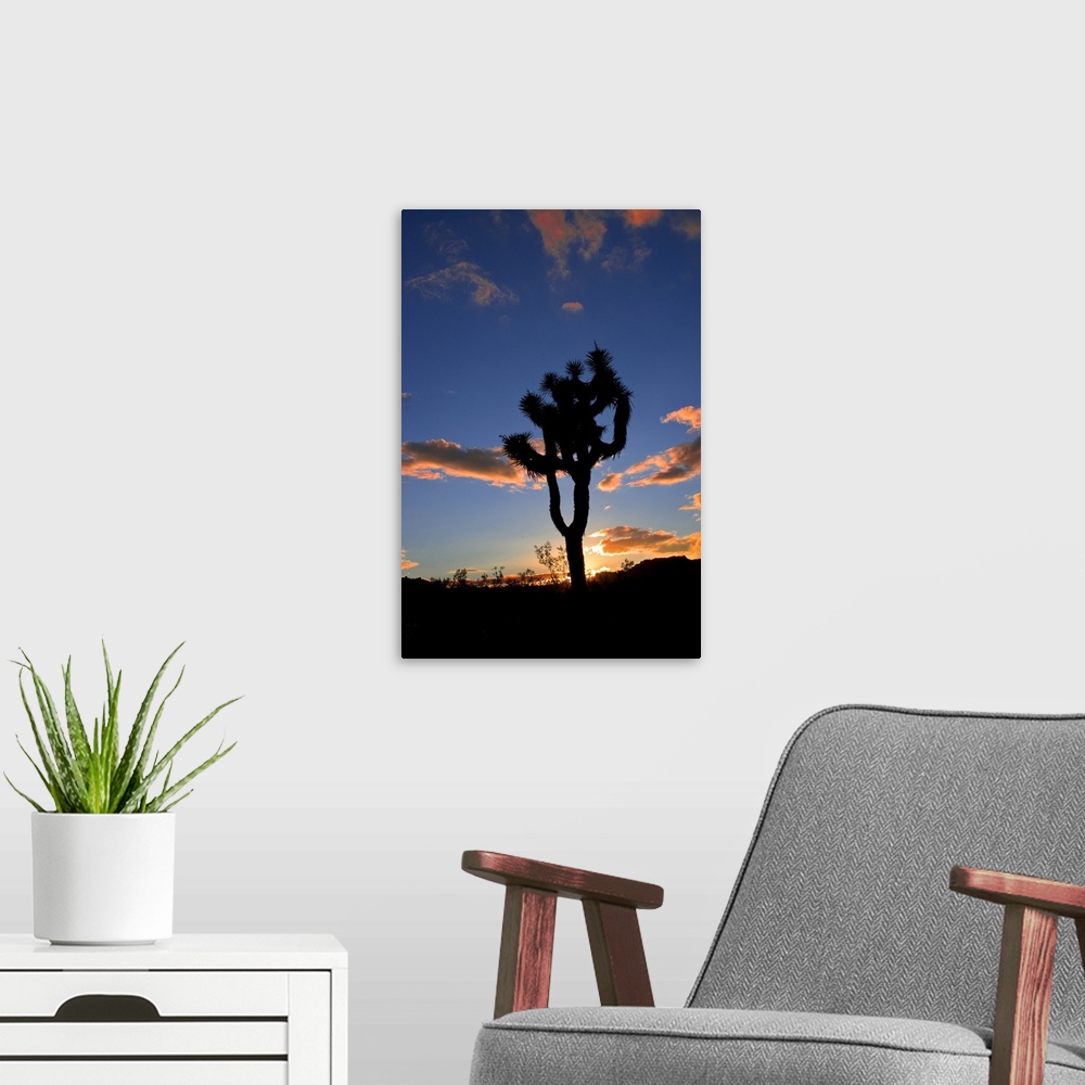 A modern room featuring Joshua Tree sunset with silhouetted tree.