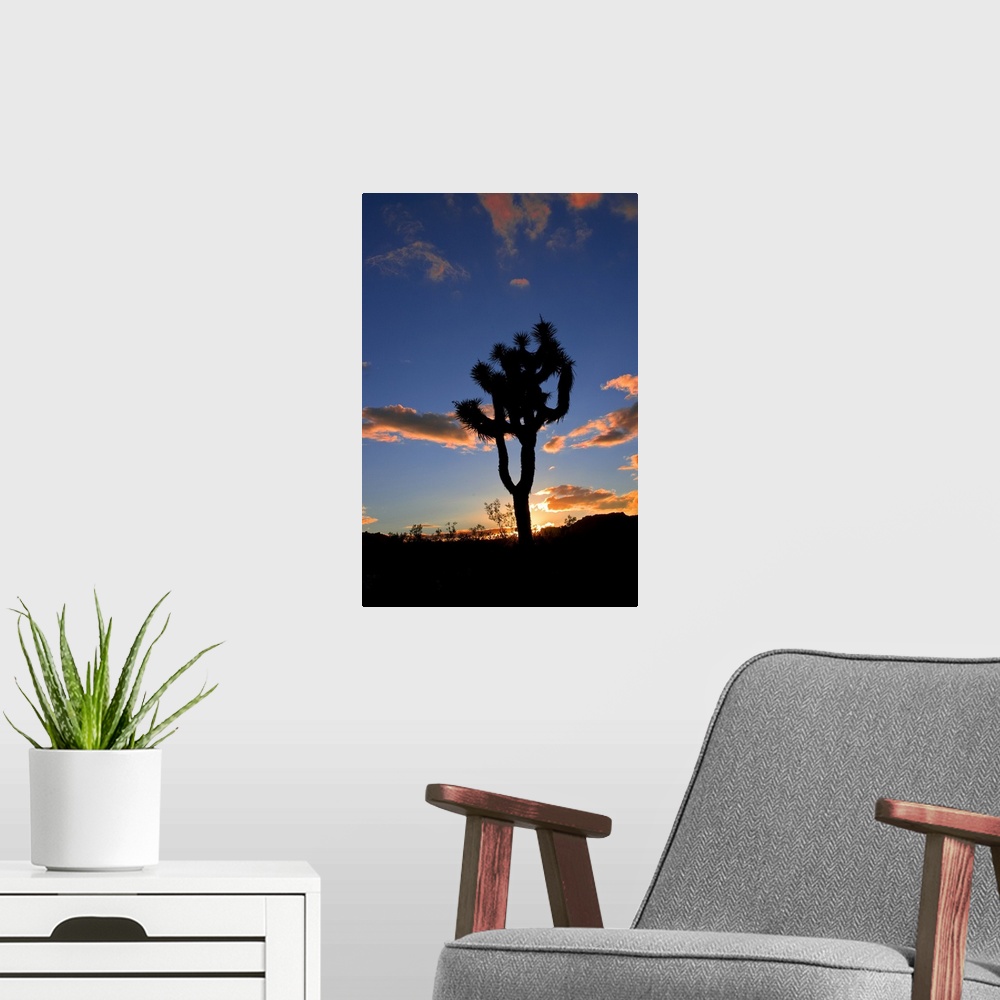 A modern room featuring Joshua Tree sunset with silhouetted tree.