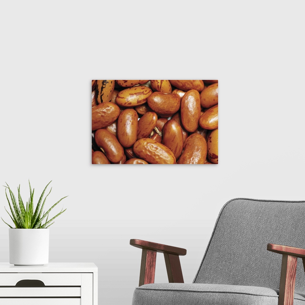 A modern room featuring Kidney beans